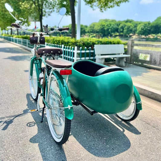 Comfortable Three-Wheel Bicycle High-End Park Display Side Bucket Drag Bucket Bicycle Dense Spokes High-End Side Three-Wheel
