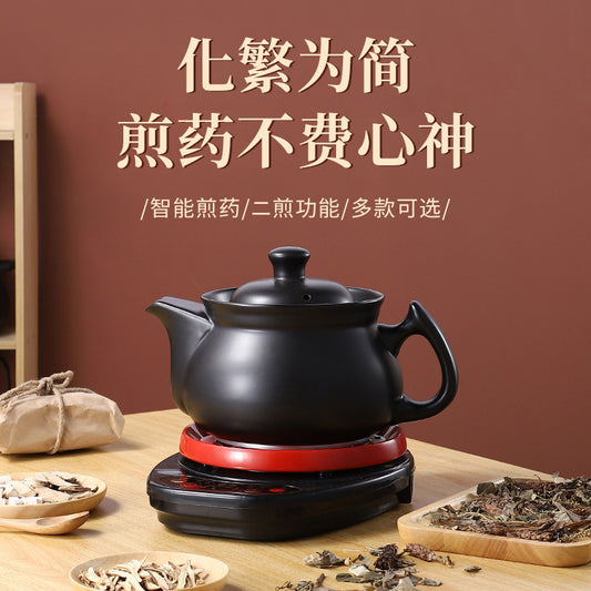 110V Large Capacity Decoction Pot Automatic Health Pot Ceramic Electric Clay Pot for Traditional Chinese Medicine Home Use