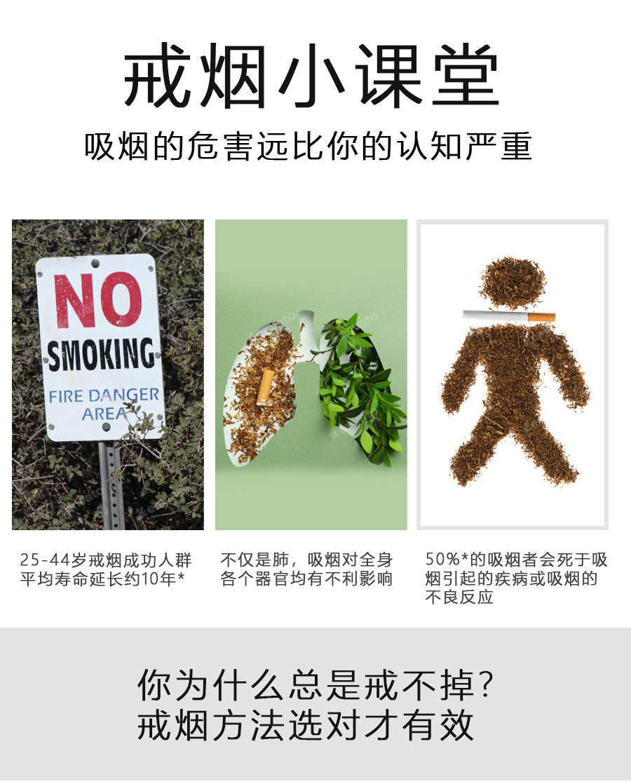 Saint Zuo Zhi New Replacement Cigarette Stick Smoking Cessation Product Assisted Nicotine-Free Smoking Cessation Artifact Cigarette Tip Type