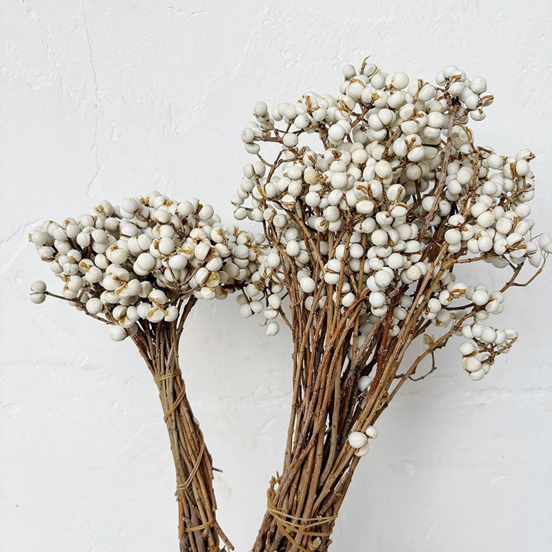 Small White Fruit Dried Flower Natural Dried Tree Branches Dried Flower Minimalist Nordic Style Fresh Flower Arrangement diy Handmade flowers