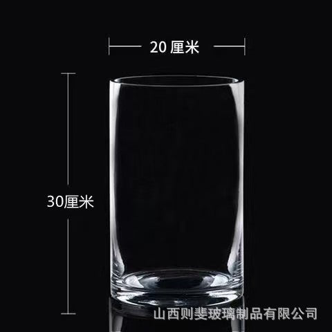 Zefei One-Piece Dropshipping Internet Celebrity Transparent Straight Glass Vase Bedroom Desktop Living Room Dining Table Fresh Flower Arrangement Ornament