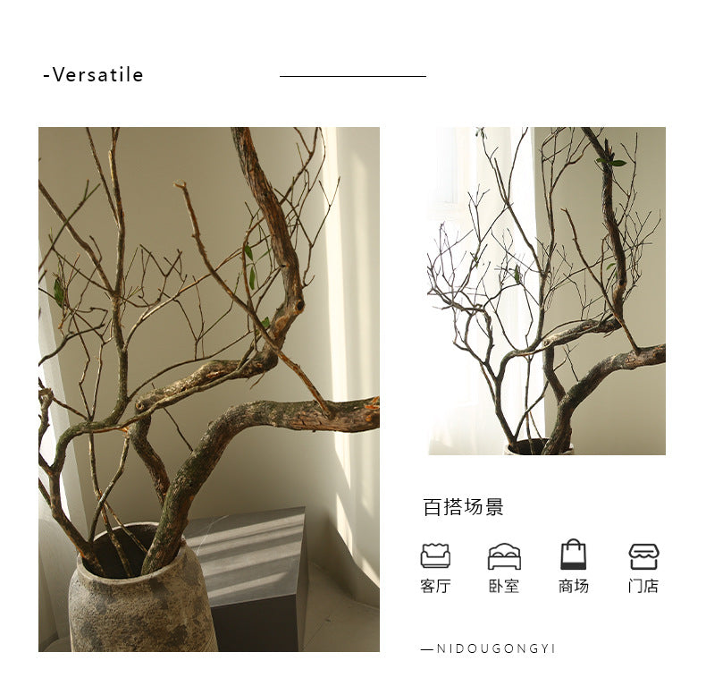 Large Artificial Drunken Horse Tree Decorative Real Tree Trunk Yellow Cypress Tree Large Floor-standing Landscaping Decorative Dry Branches