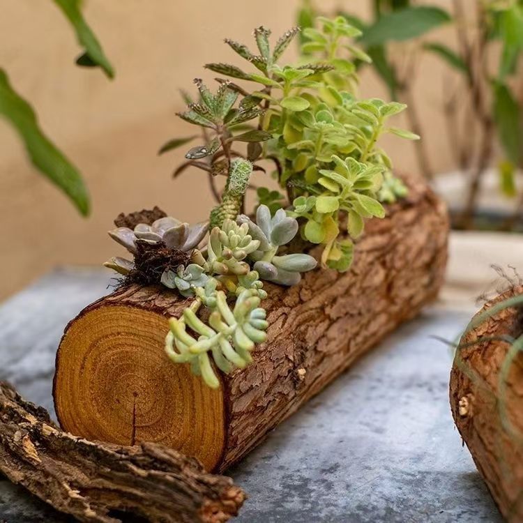 Wooden Flower Pot Succulent Planter Solid Wood Flower Pot Real Wood Flower Pot Wall Hanging Wooden Flower Pot Internet Celebrity Shooting Props