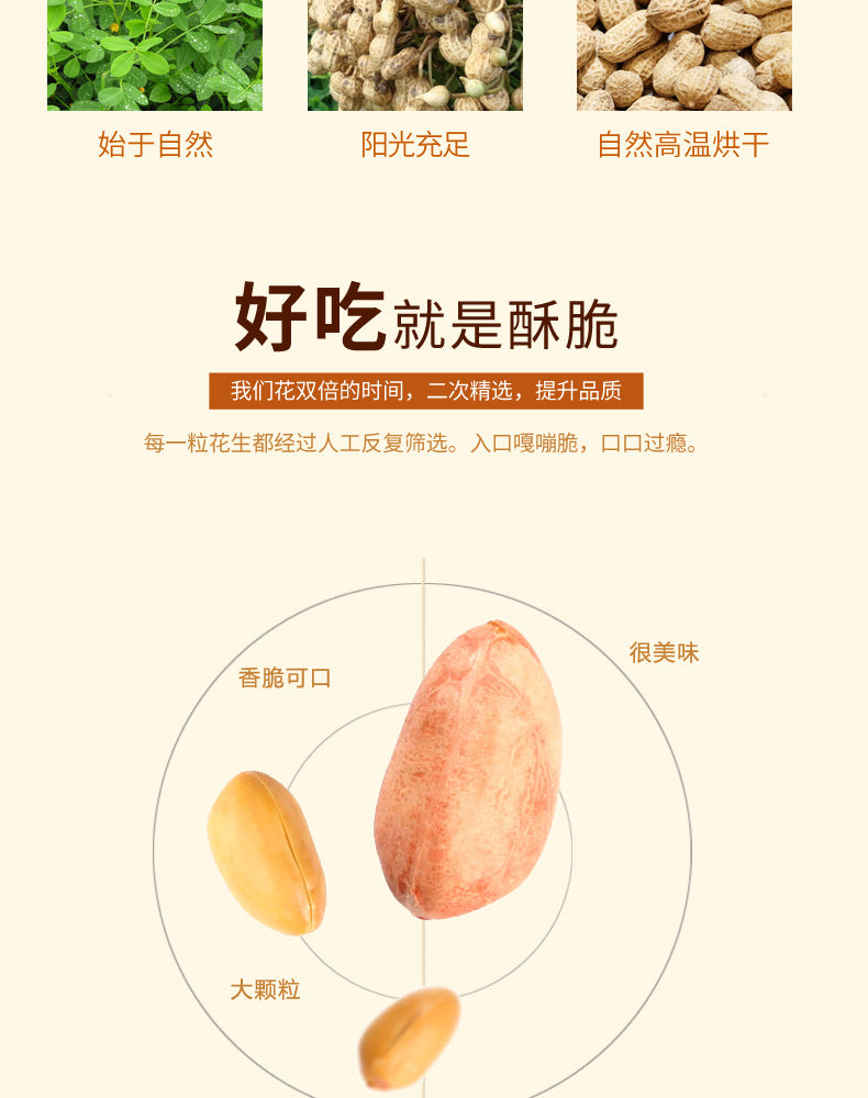 Five-Spice Peanut Snacks100Kedai New Stock Roasted Snacks for Wine Lovers, Various Flavors, Wholesale Available from Factory Source