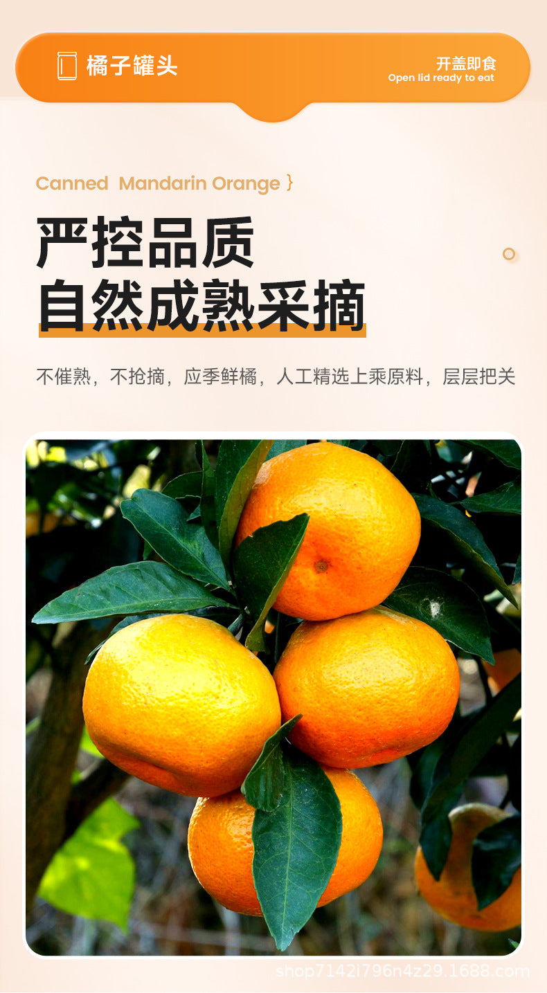 Canned oranges in syrup425g Whole Box Wholesale of Canned Oranges Factory Direct Sale Baking Milk Tea Ingredients