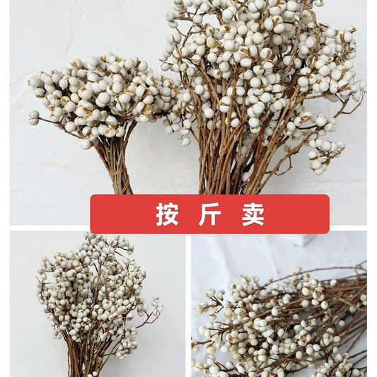 Small White Fruit Dried Flower Natural Dried Tree Branches Dried Flower Minimalist Nordic Style Fresh Flower Arrangement diy Handmade flowers