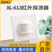 Snow Wolf Door and Window Magnetic Sensor Surface Mount Induction Detector Household Reed Switch Door Magnetic Alarm Normally Closed