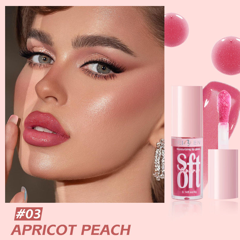 PNF Cross-border Moisturizing Lip Gloss Lip Oil Pearlescent Fine Flash European and American Water Light Lip Plumping Cream Lip Gloss Lip lacquer