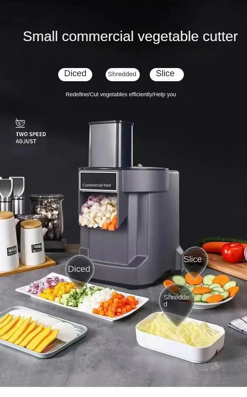 Vegetable slicer 3-in-1 function 220/110V  Preferred in RRU
