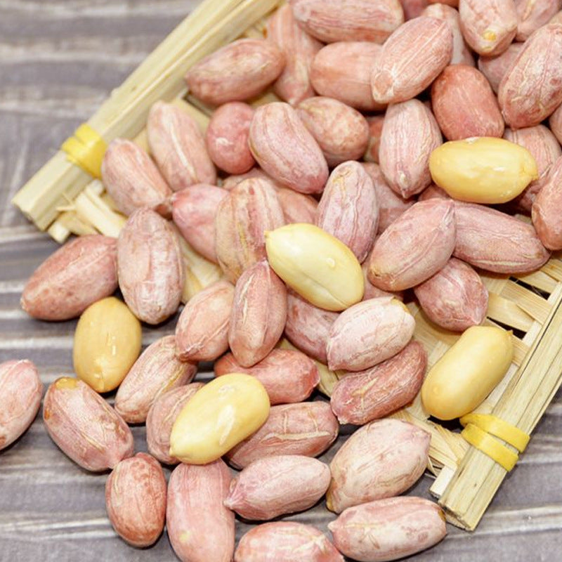 Five-Spice Peanut Snacks100Kedai New Stock Roasted Snacks for Wine Lovers, Various Flavors, Wholesale Available from Factory Source