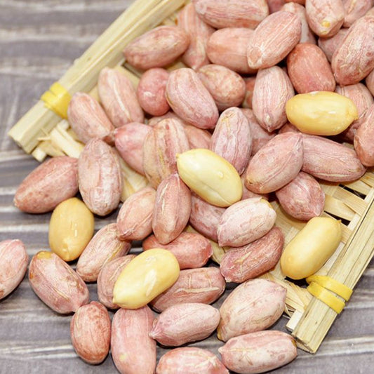 Five-Spice Peanut Snacks100Kedai New Stock Roasted Snacks for Wine Lovers, Various Flavors, Wholesale Available from Factory Source