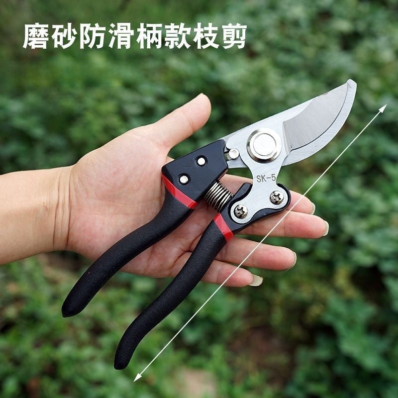 Home Fruit Tree Pruning Shears, Flower Pruning, Fruit Picking, Branch Shears, Greening Grafting, Pruning, Gardening Shears
