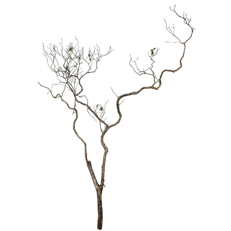 Large Artificial Drunken Horse Tree Decorative Real Tree Trunk Yellow Cypress Tree Large Floor-standing Landscaping Decorative Dry Branches