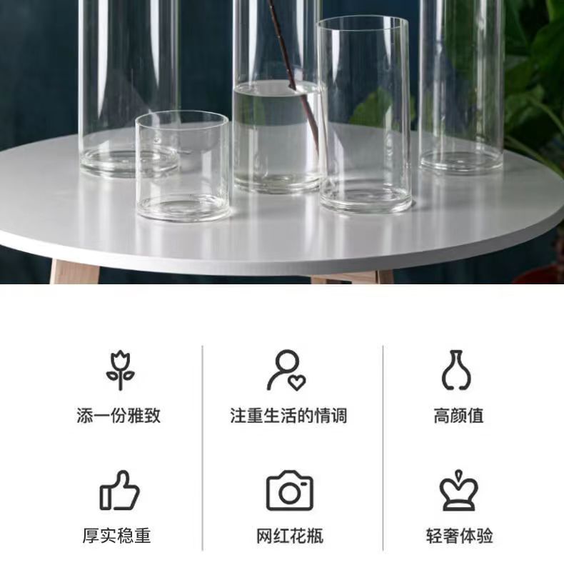 Zefei One-Piece Dropshipping Internet Celebrity Transparent Straight Glass Vase Bedroom Desktop Living Room Dining Table Fresh Flower Arrangement Ornament