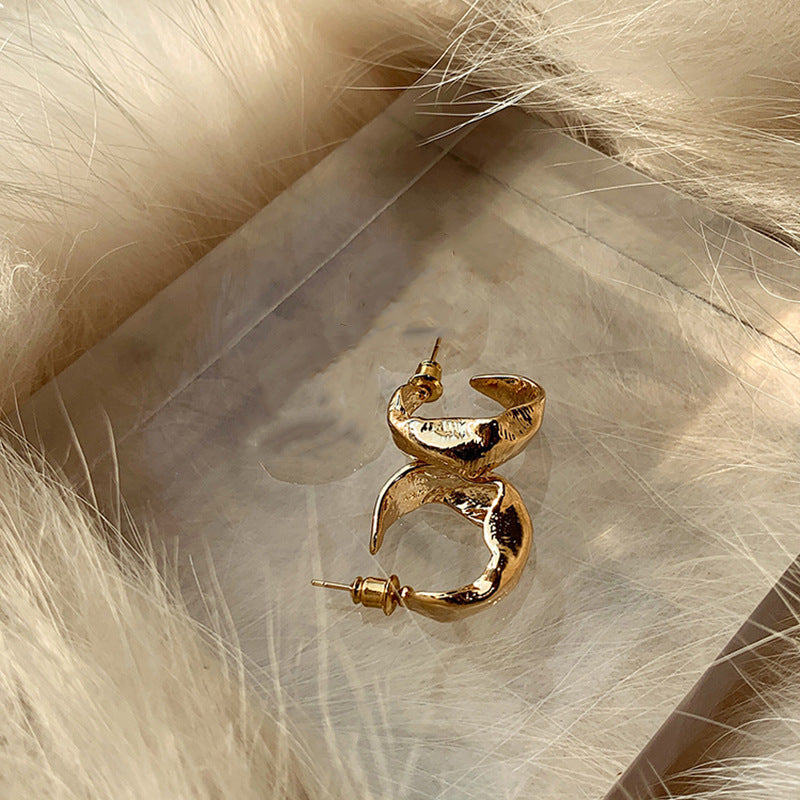 Silver Needle Metal Earrings High-end Simple Stud Earrings Fashion Versatile Light Luxury Unique Niche Earrings Yiwu Wholesale