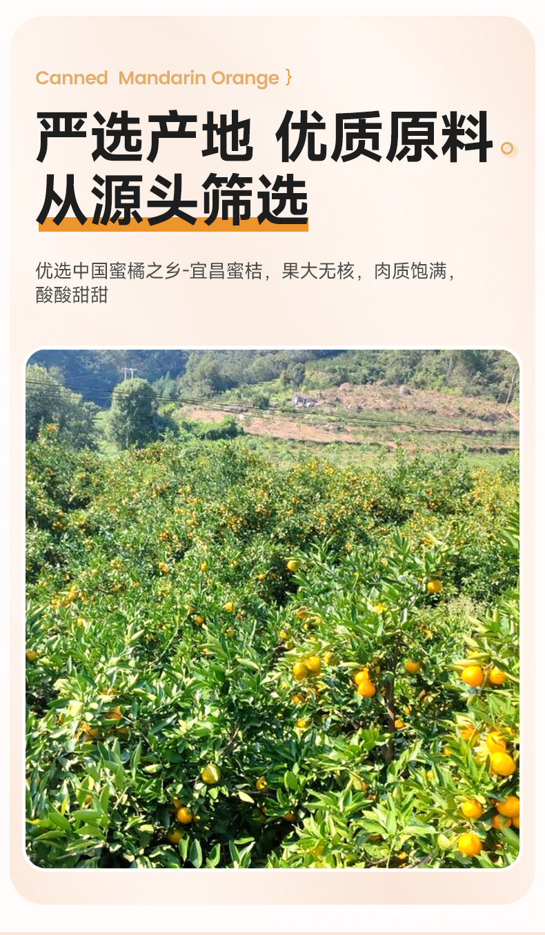Canned oranges in syrup425g Whole Box Wholesale of Canned Oranges Factory Direct Sale Baking Milk Tea Ingredients
