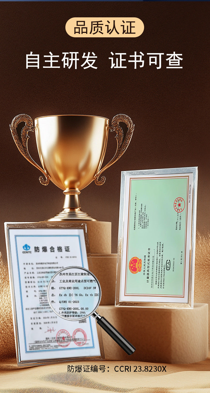 Industrial and Commercial Carbon Monoxide Carbon Dioxide Oxygen Ammonia Gas Alarm Toxic Gas Detector with Complete Qualifications