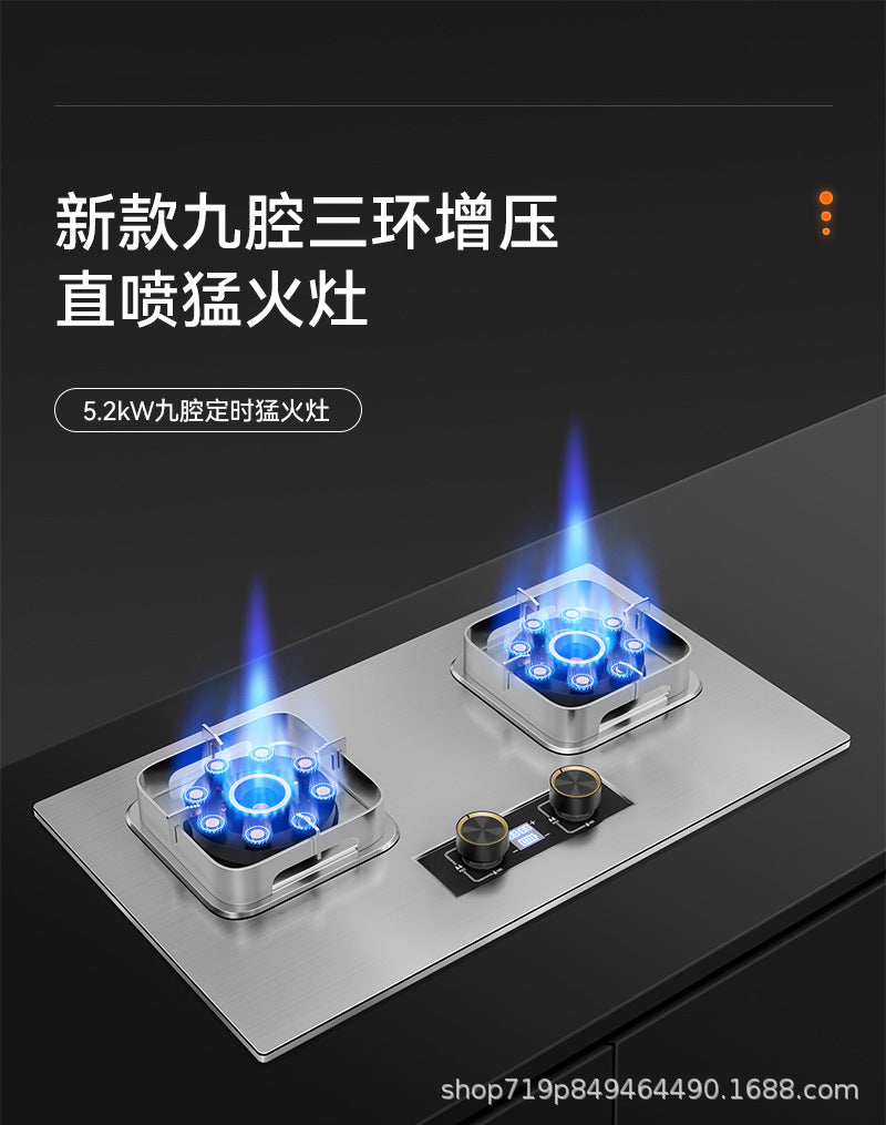 German Brand Gas Stove Double Burner Household Natural Gas Liquefied Gas High Flame Stove Nine-Cavity Direct Injection Stainless Steel New Model