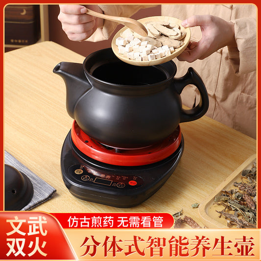 110V Large Capacity Decoction Pot Automatic Health Pot Ceramic Electric Clay Pot for Traditional Chinese Medicine Home Use