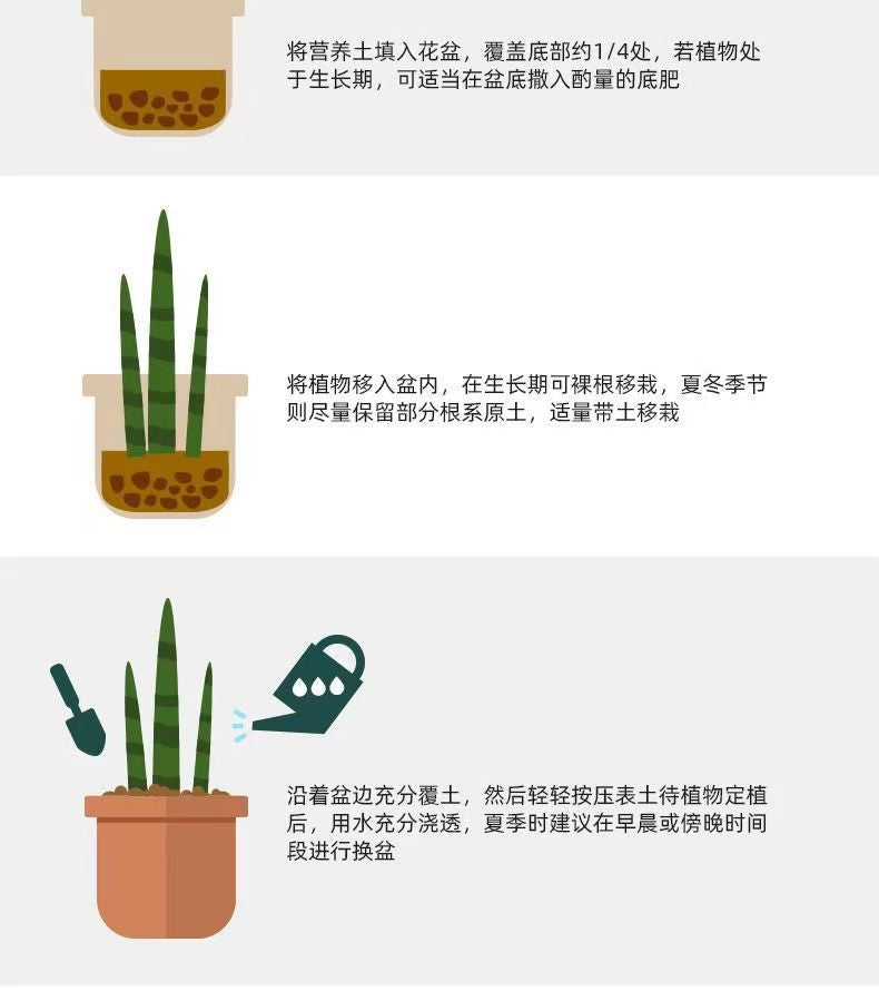 Nutrient Soil for Planting Flowers50Universal Succulent Nutrient Soil Garden Seedling Organic Breathable Loose Home Planting Flower Soil