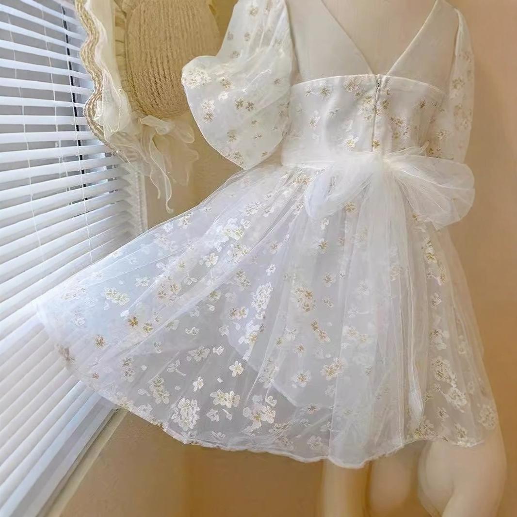 Little Girl Mesh Princess Dress
