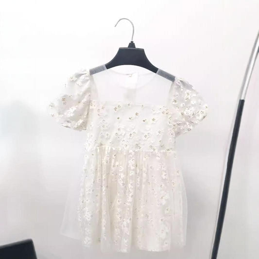 Little Girl Mesh Princess Dress