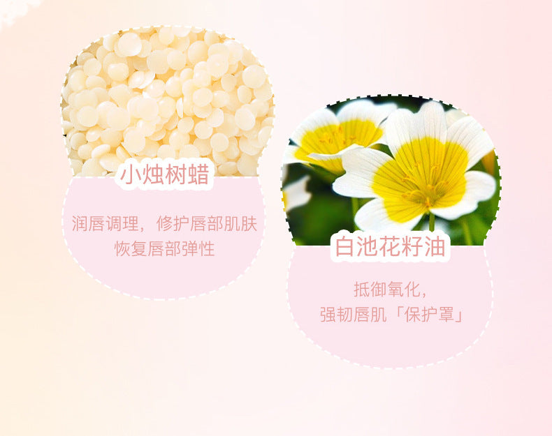 NOVO Little Mushroom Milk Jar Lip Mud Lip Jelly Velvet Matte Waterproof Lipstick Not Easy To Fade Non-stick Cup Lipstick Makeup