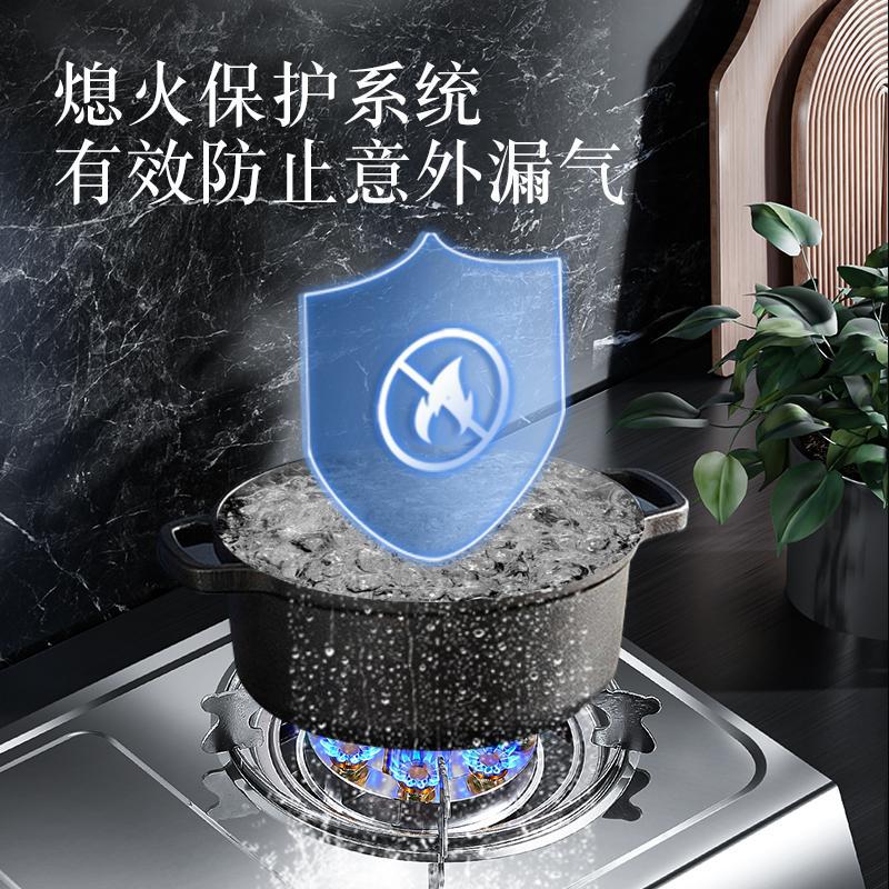 Gas Stove Double Burner Household Countertop Liquefied Gas Stove Gas Stove Natural Gas Flameout Safety Old Style Energy-saving High Heat Double Burner Stove