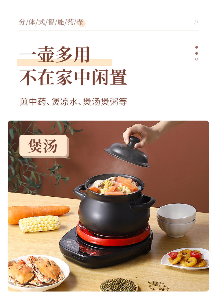 110V Large Capacity Decoction Pot Automatic Health Pot Ceramic Electric Clay Pot for Traditional Chinese Medicine Home Use