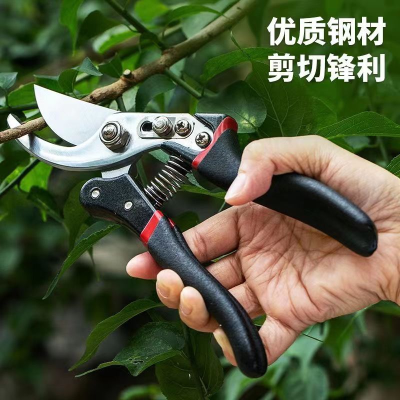 Home Fruit Tree Pruning Shears, Flower Pruning, Fruit Picking, Branch Shears, Greening Grafting, Pruning, Gardening Shears