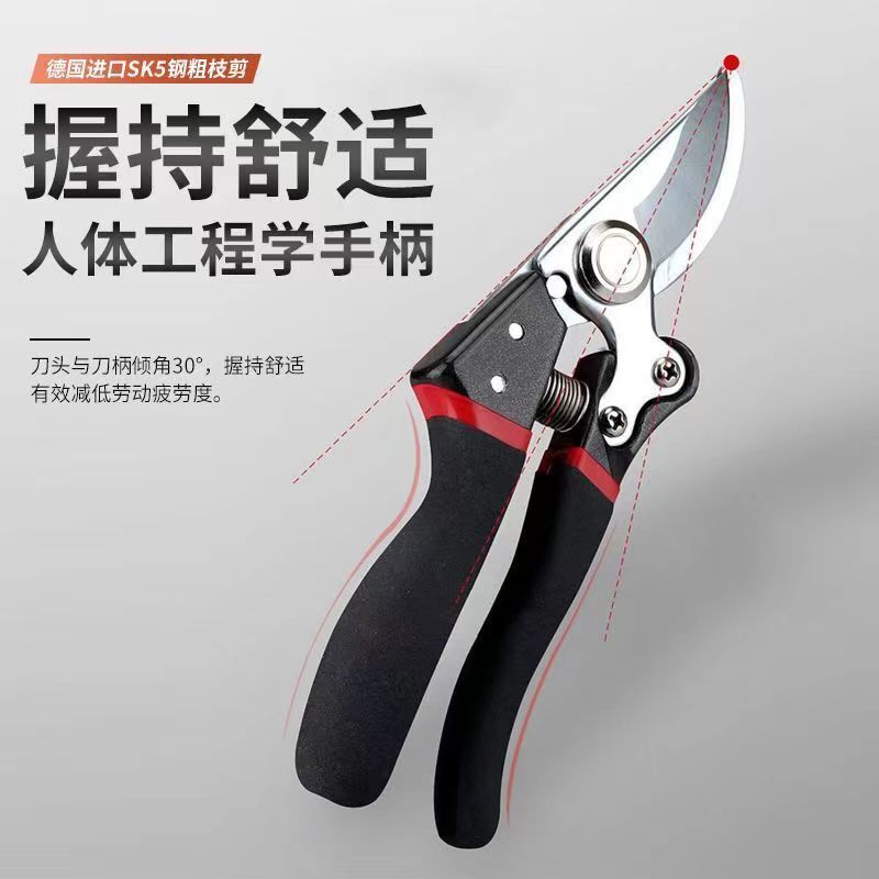 Home Fruit Tree Pruning Shears, Flower Pruning, Fruit Picking, Branch Shears, Greening Grafting, Pruning, Gardening Shears