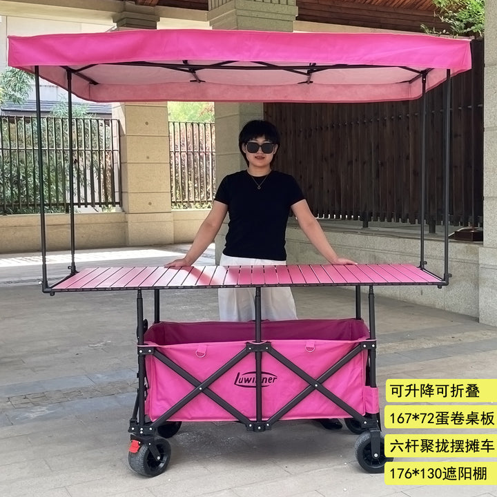 Auto Car - ZYL-0710