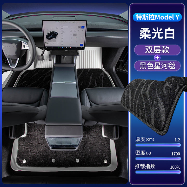 For 25 model Y TPE