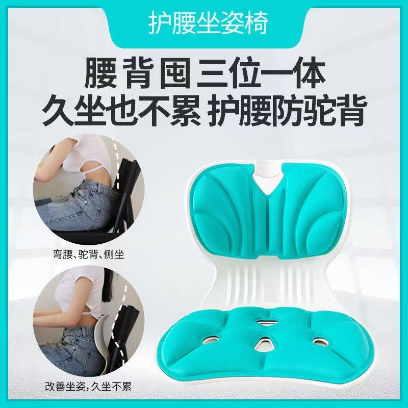 Waist Support Cushion Posture Office