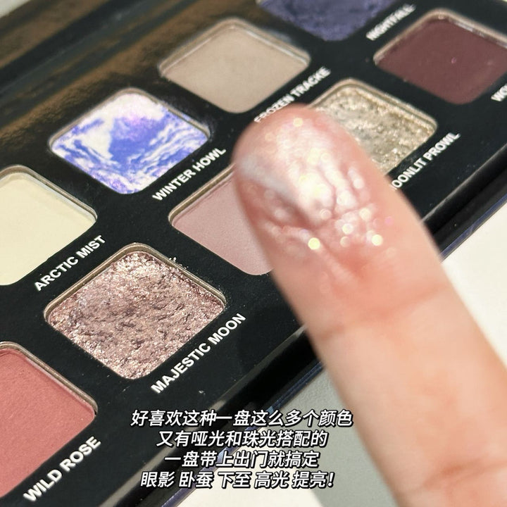 HERORANGE十二色狼月色系眼影 高光提亮珠光爆闪哑光卧蚕修容粉盘