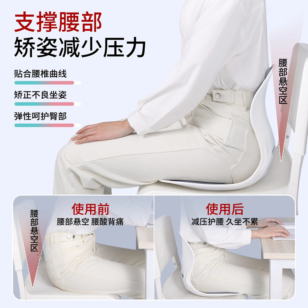 Waist Support Cushion Office
