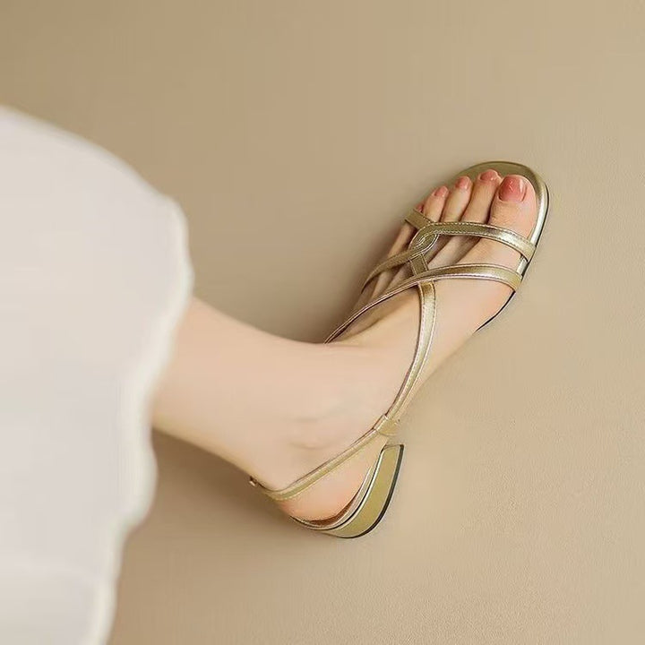 Women's New