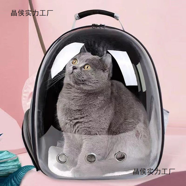 New Pet Cat Portable Transparent Pet Cat Cat