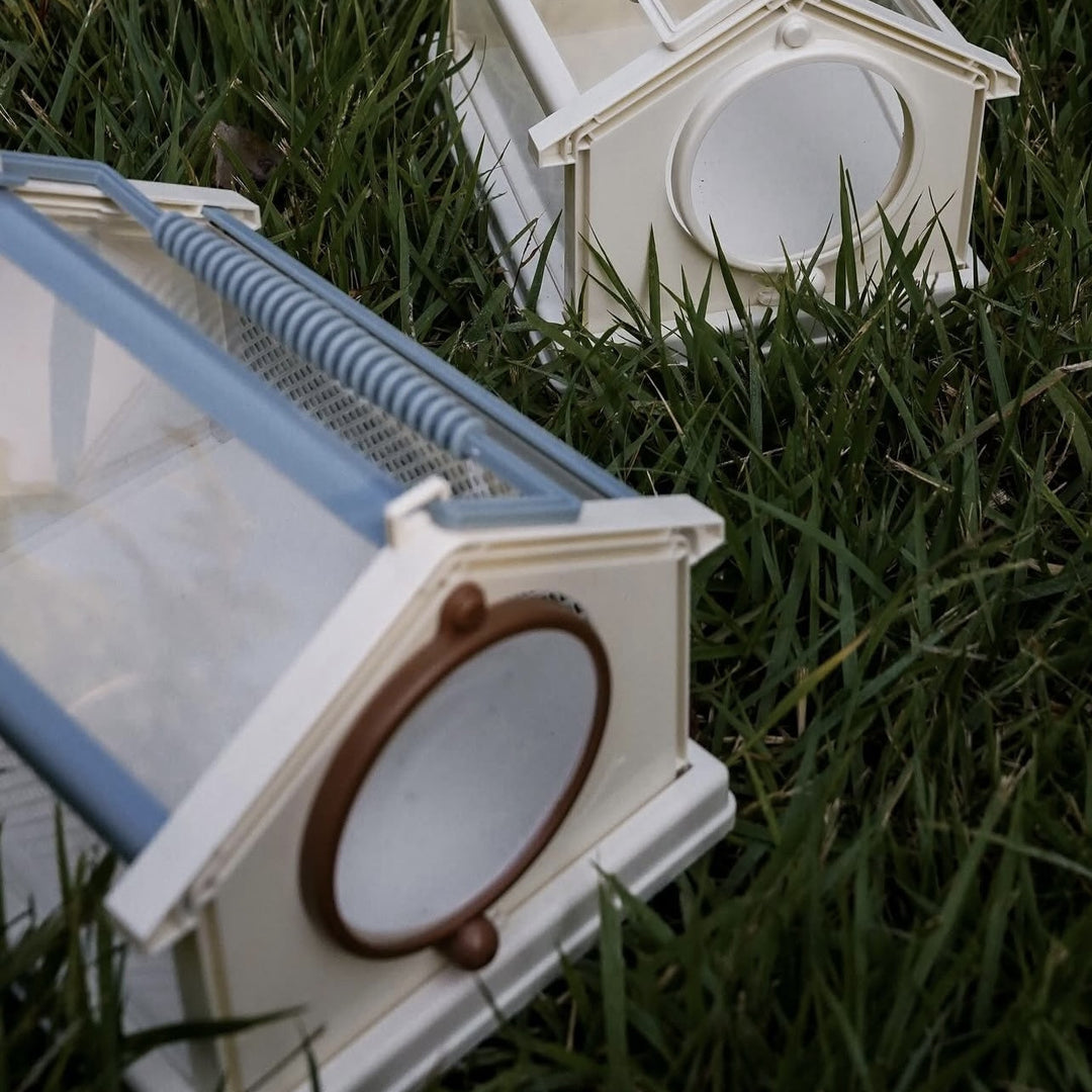 Children's Outdoor Insect Observation Box – Nature Explorer Kit for Kids