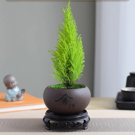 Light Small Office Gift Gift