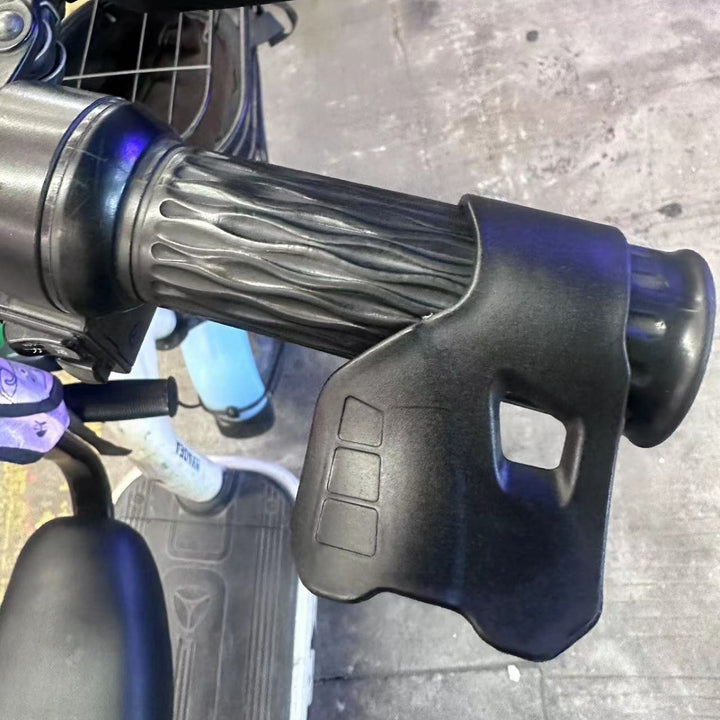 Factory Electric Vehicle Modified