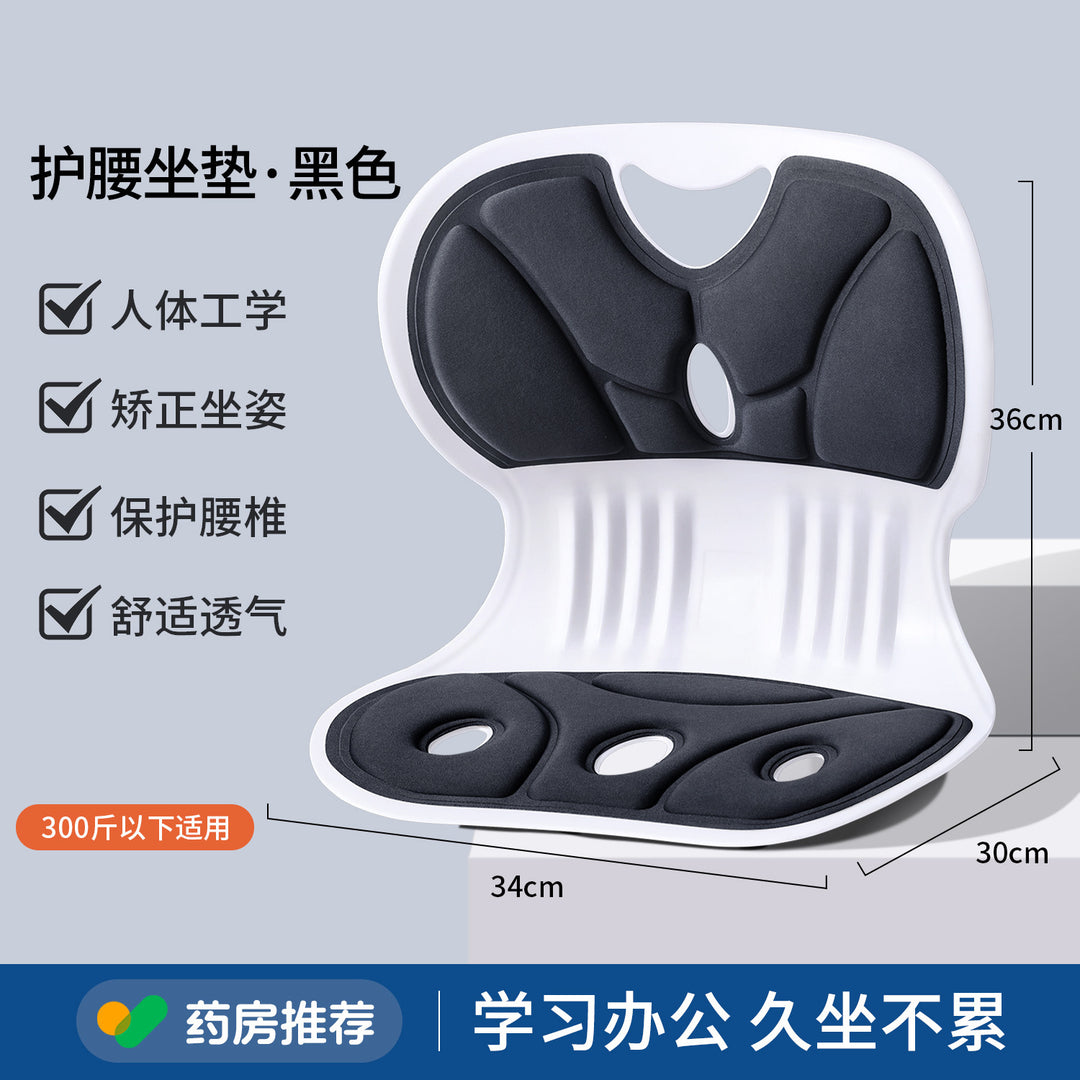 Waist Support Cushion Office