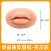 欧洲雾唇3d模块唇膜纹绣仿真硅胶唇块半永久初学者练习工具用品
