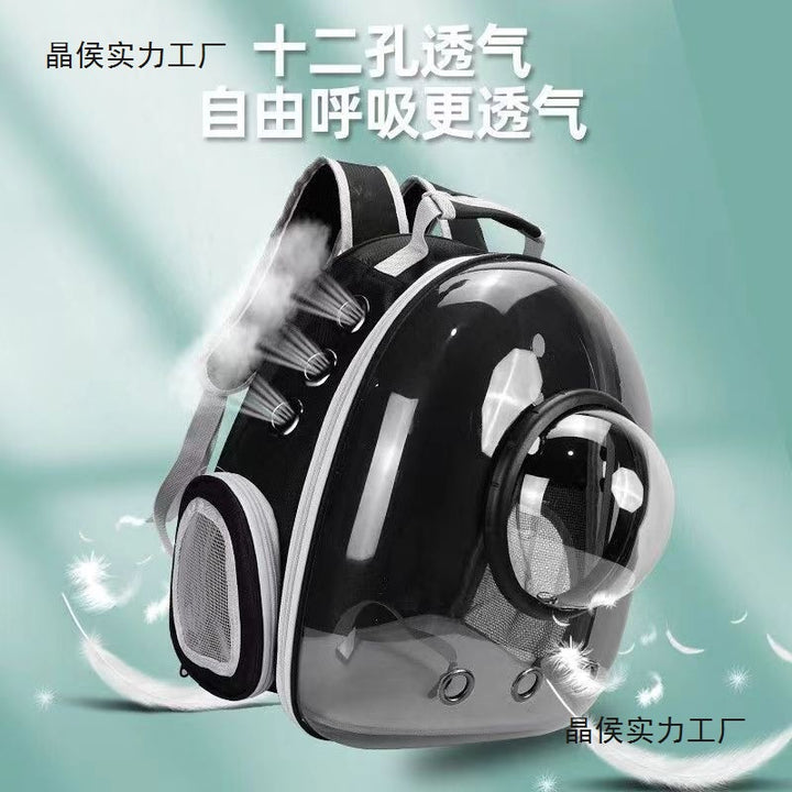 New Pet Cat Portable Transparent Pet Cat Cat