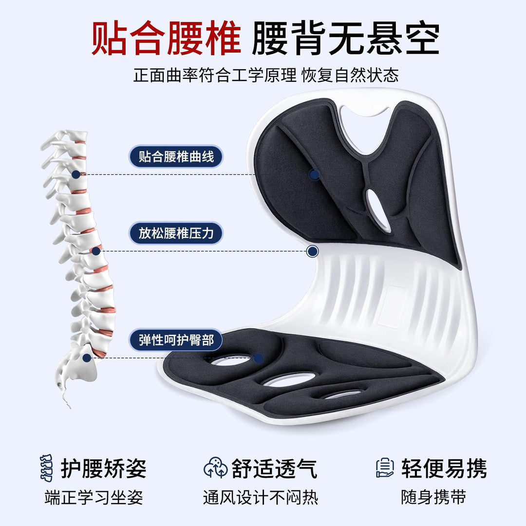 Waist Support Cushion Office