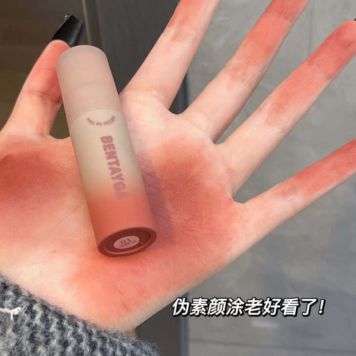 秋意浓~灰粉调唇泥哑光雾面丝绒唇釉不沾杯口红学生直播跨境批发