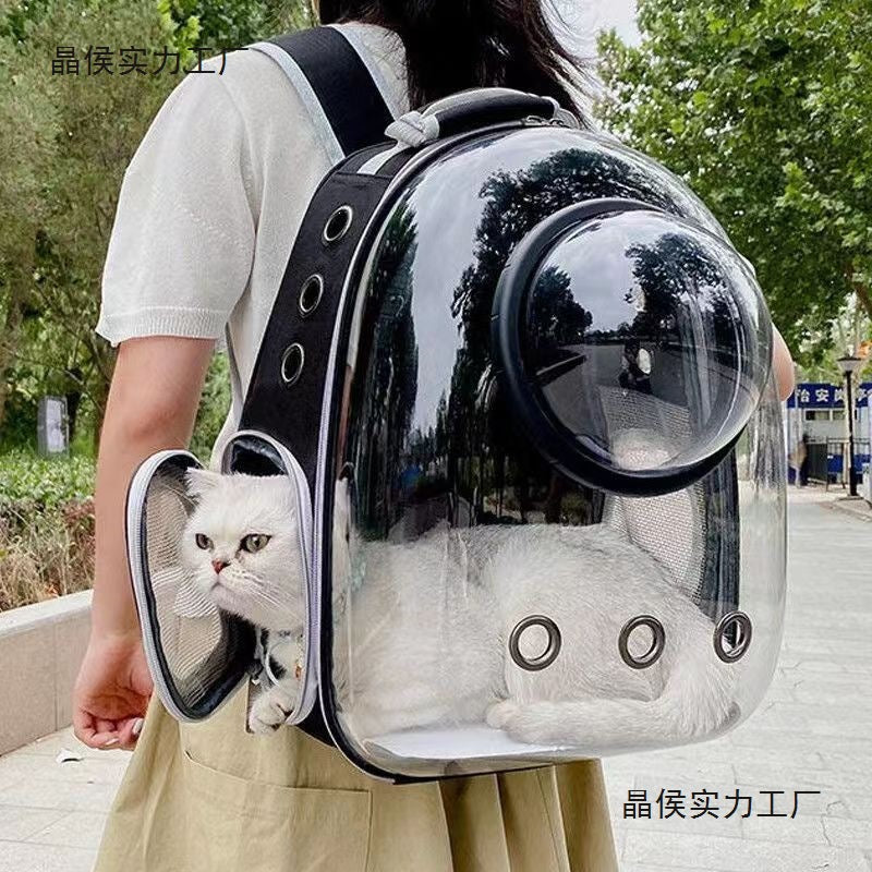 New Pet Cat Portable Transparent Pet Cat Cat