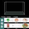高透鱼缸金晶白工厂直销客厅办公室酒店大堂观赏大鱼缸代发