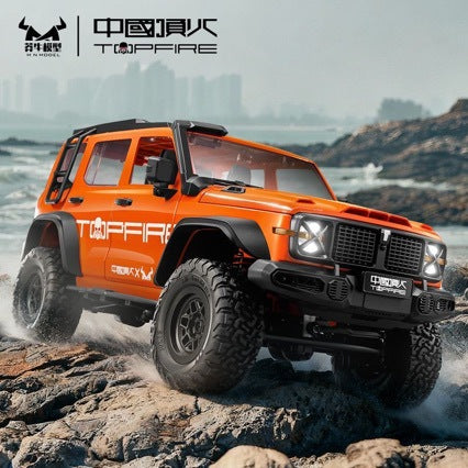 1:12 300 RC CAR MN 300