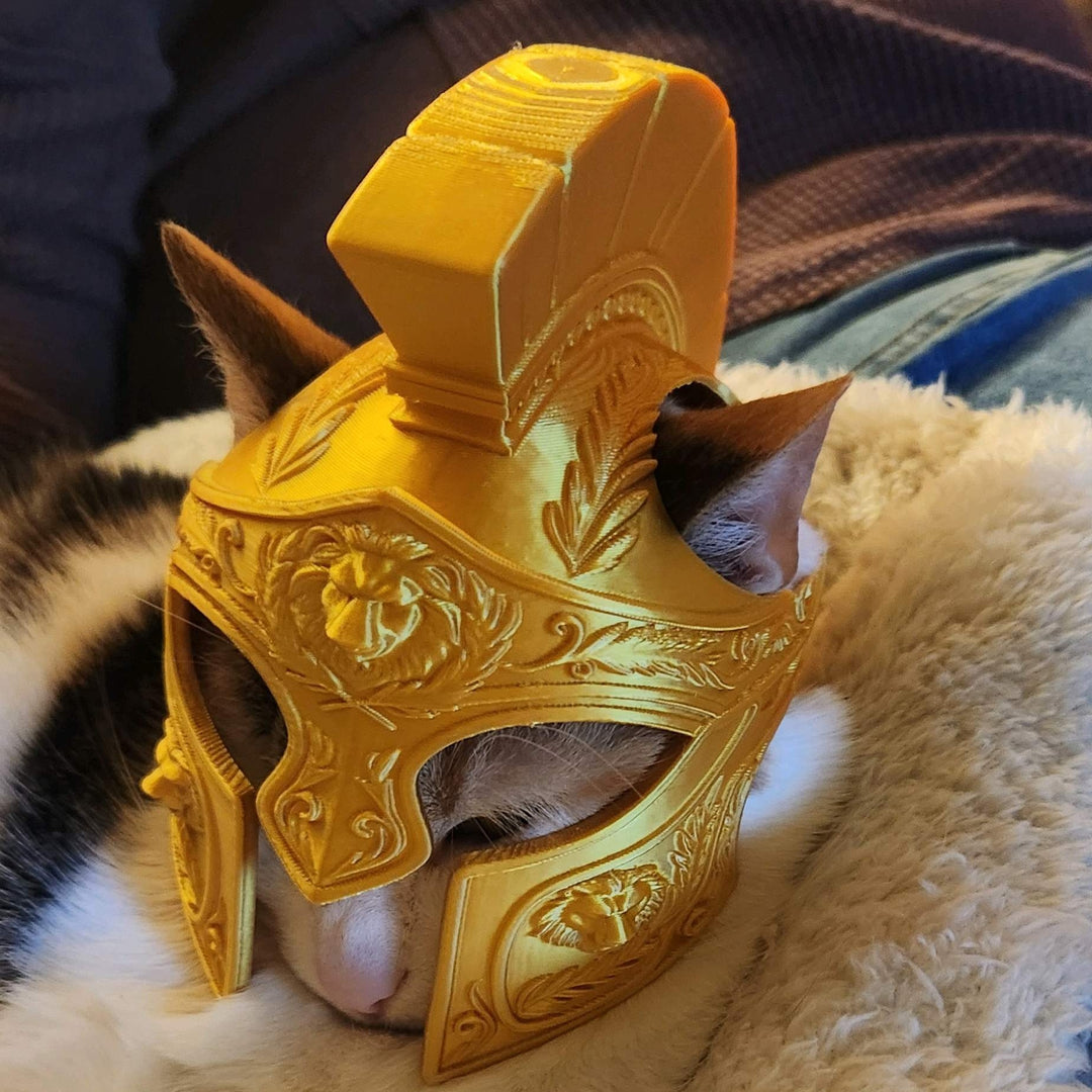 Helmet Roman centurion cat helmet